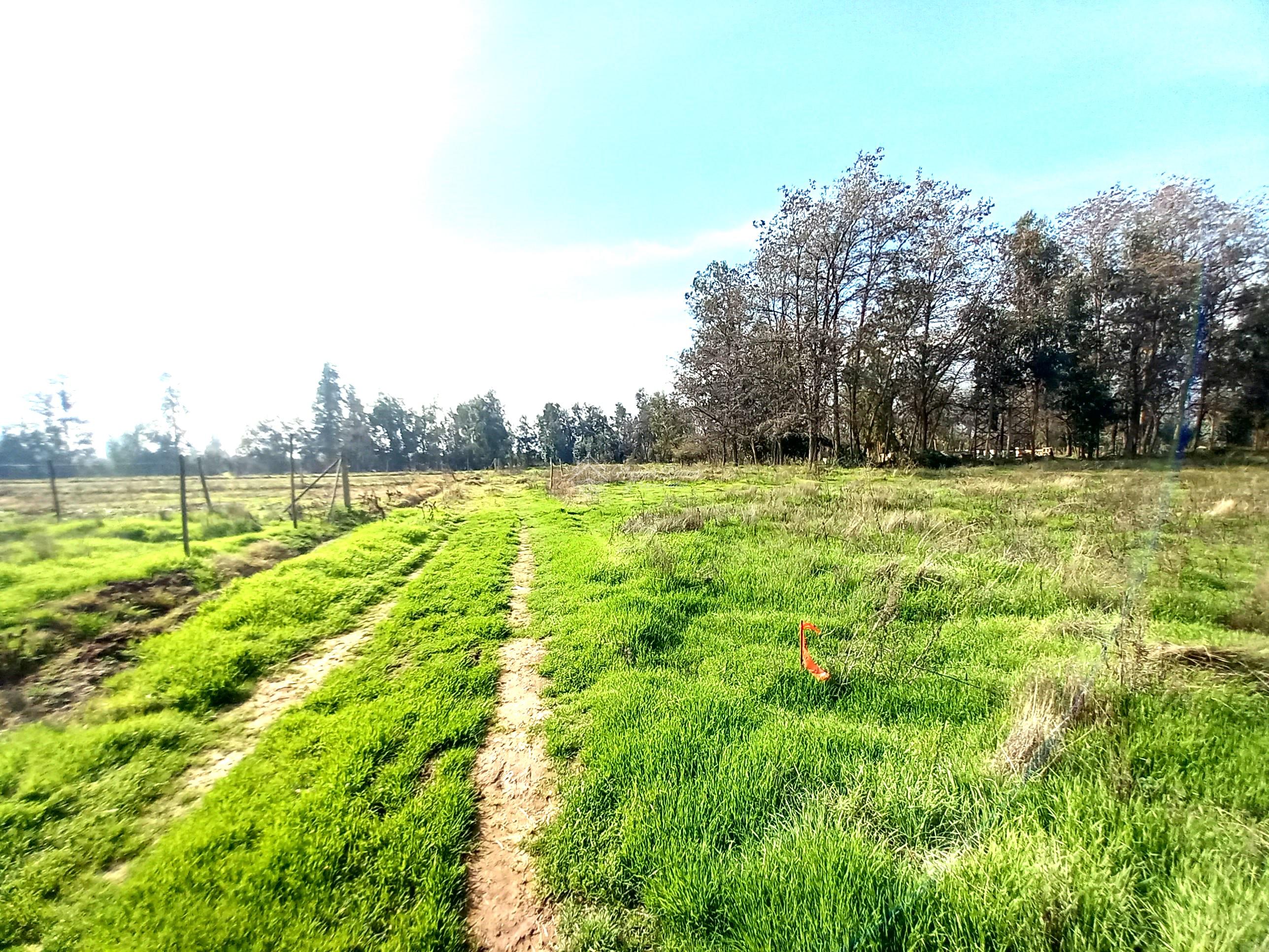 Parcela 7.000 m2